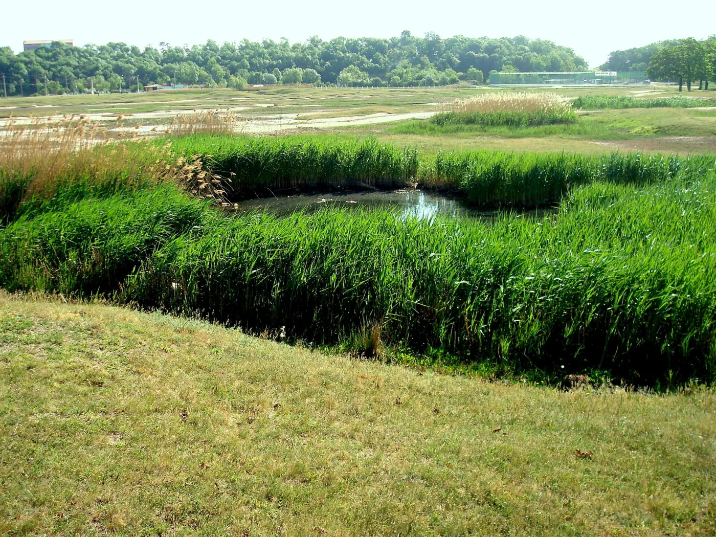Lacul Vâja