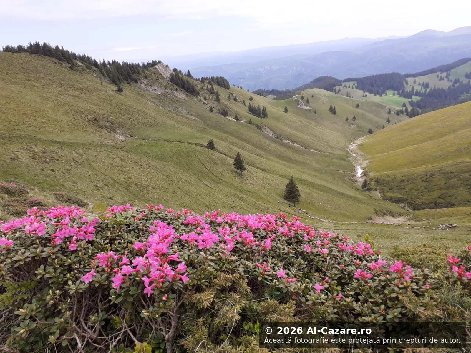 Masivul Ciucaș - Vârful foto 5
