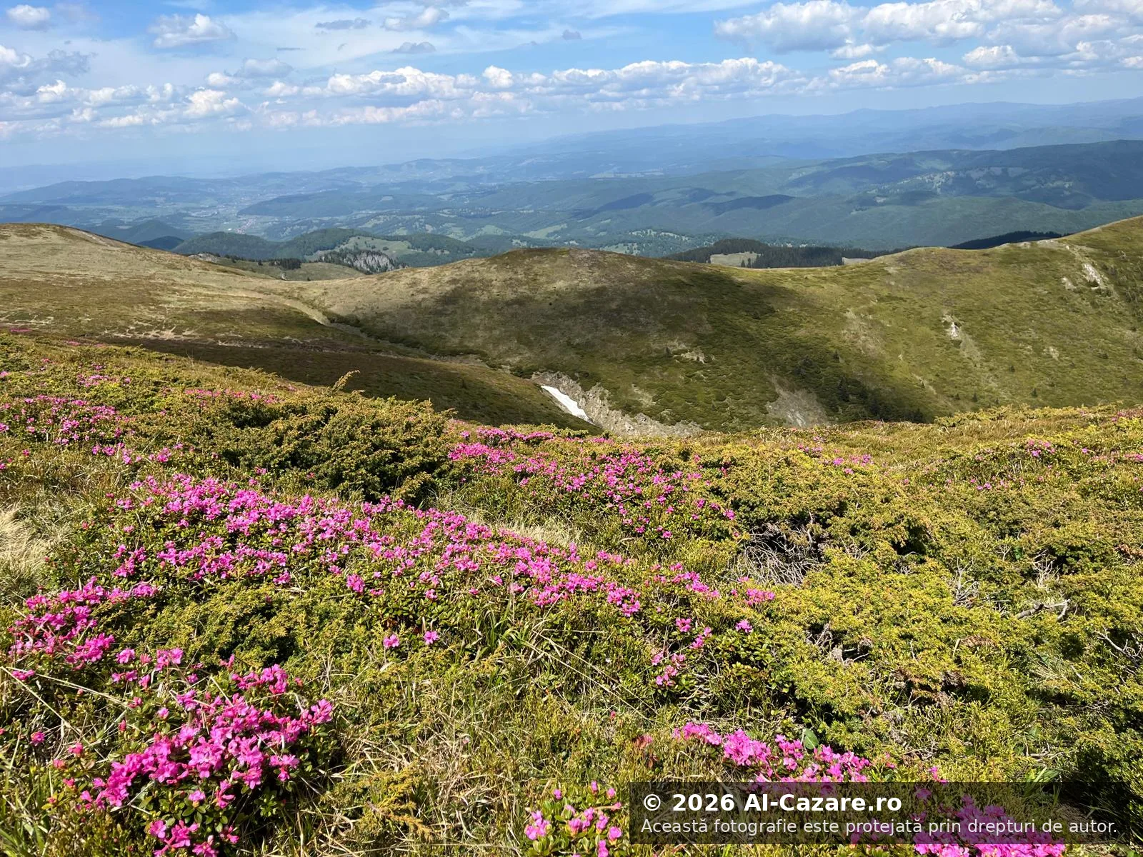 Masivul Ciucaș - Vârful foto 3
