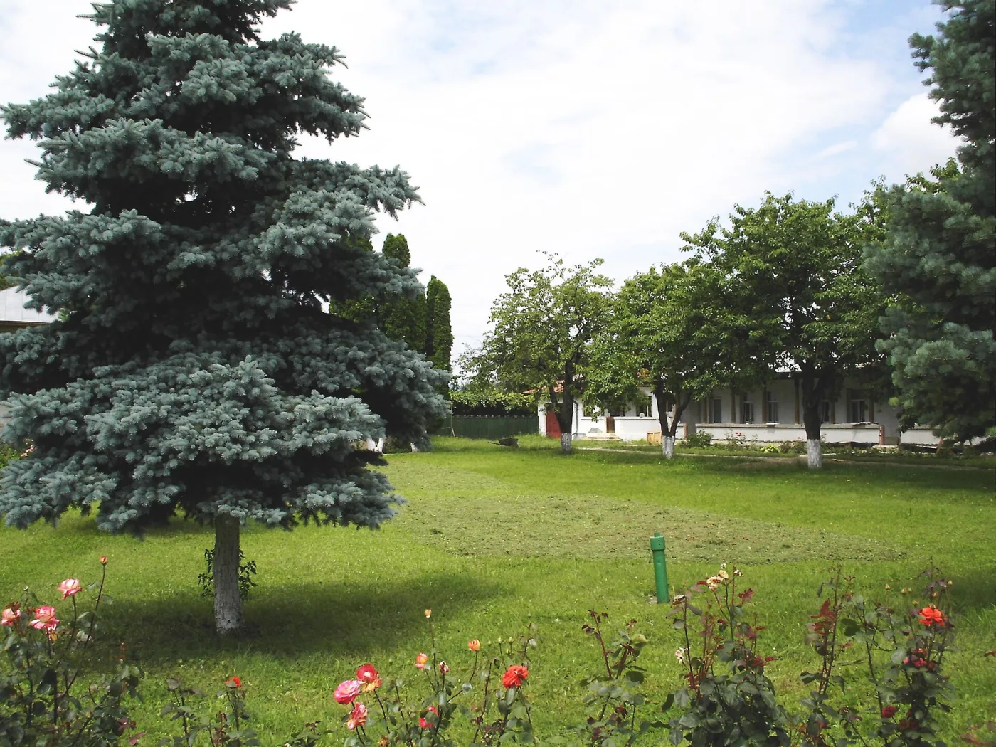 Mânăstirea Zamfira