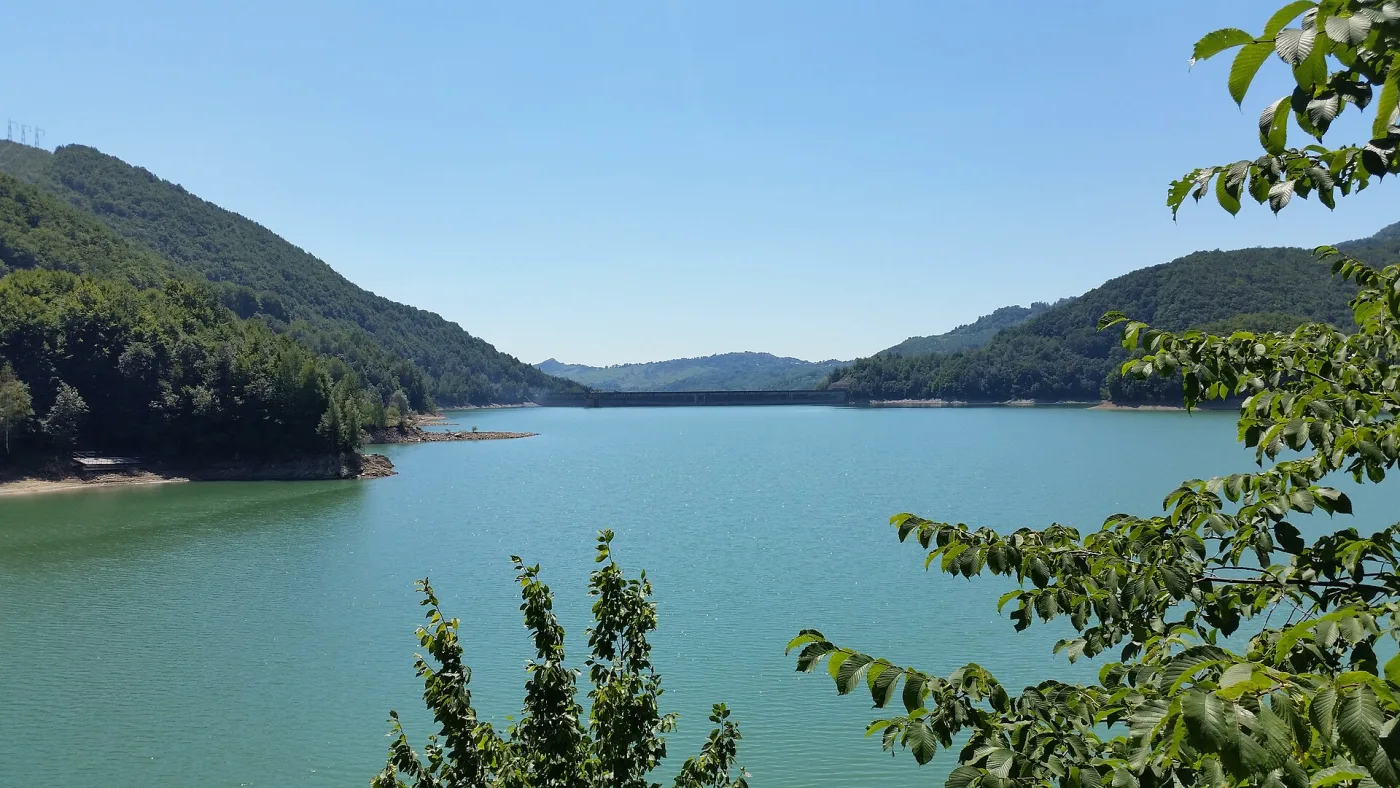 Lacul Paltinu