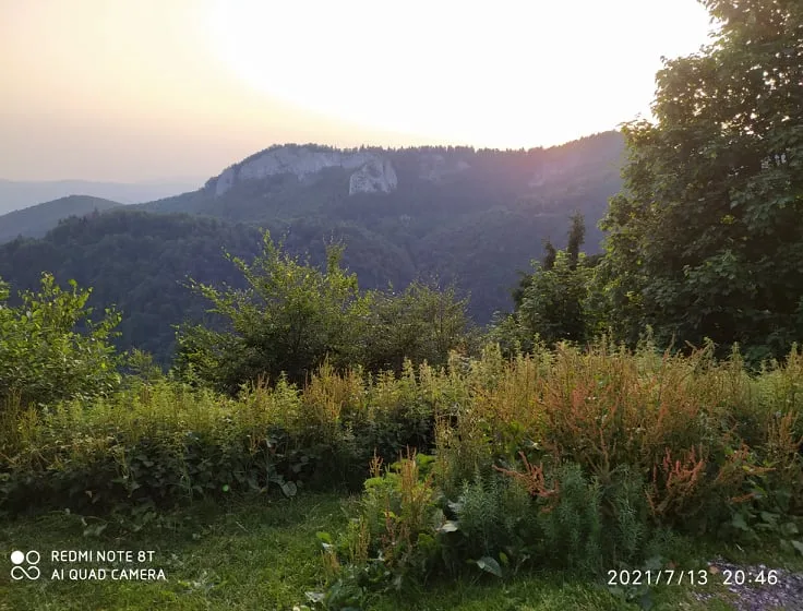 Păltiniș - Stațiunea Montană foto 2