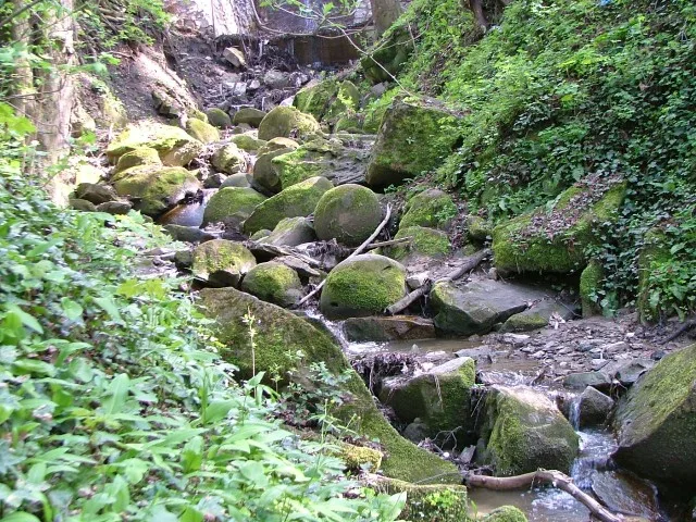 Cluj-Napoca - Grădina Botanică