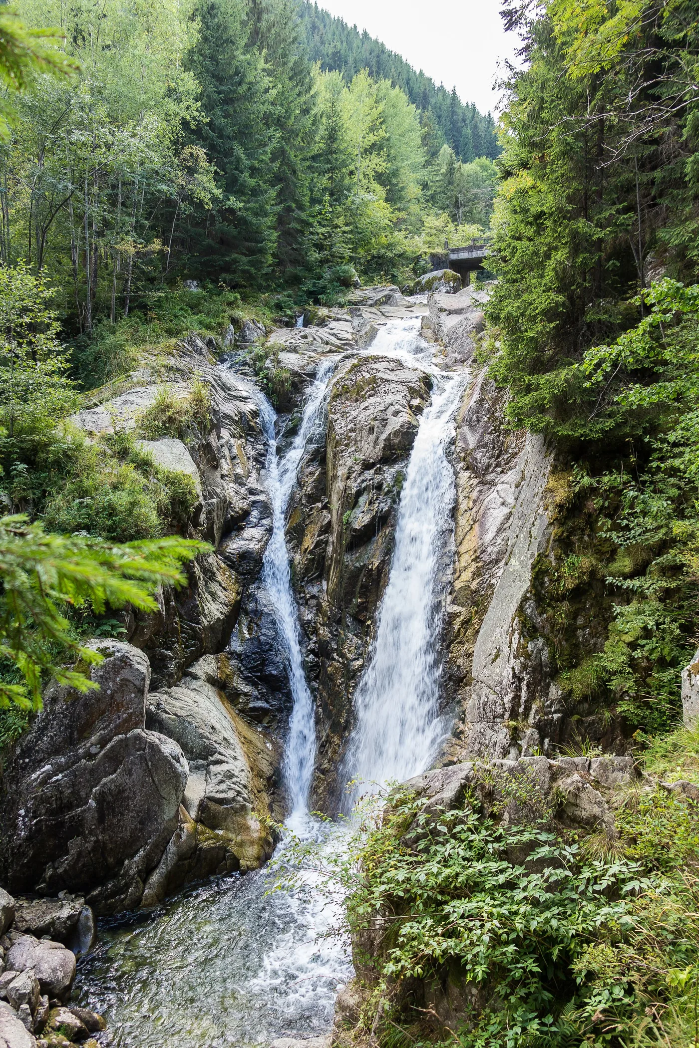 Vișea - Cascada