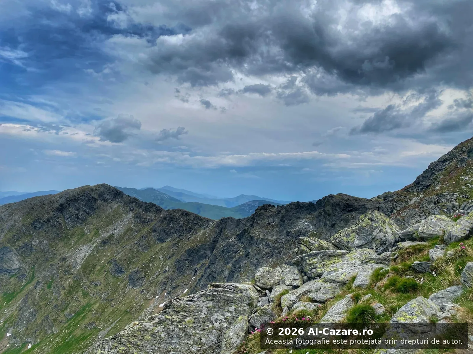 Pietrosu Rodnei - Vârful foto 5
