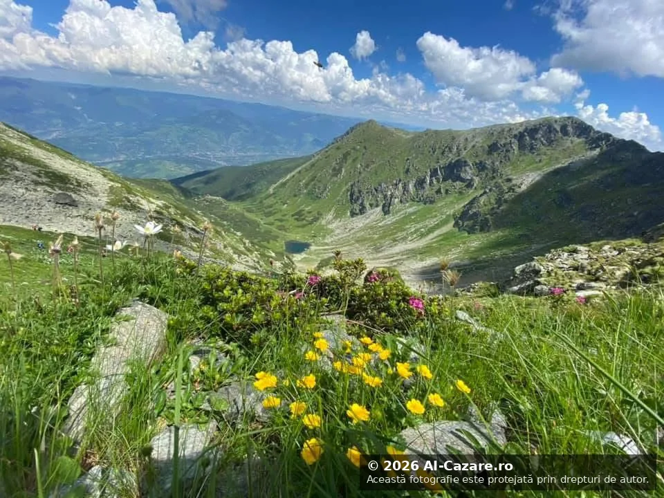 Pietrosu Rodnei - Vârful foto 3