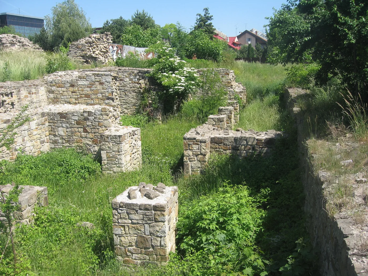 Suceava - Curtea Domnească