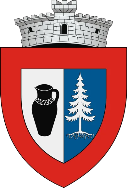 Marginea - Ceramică Neagră