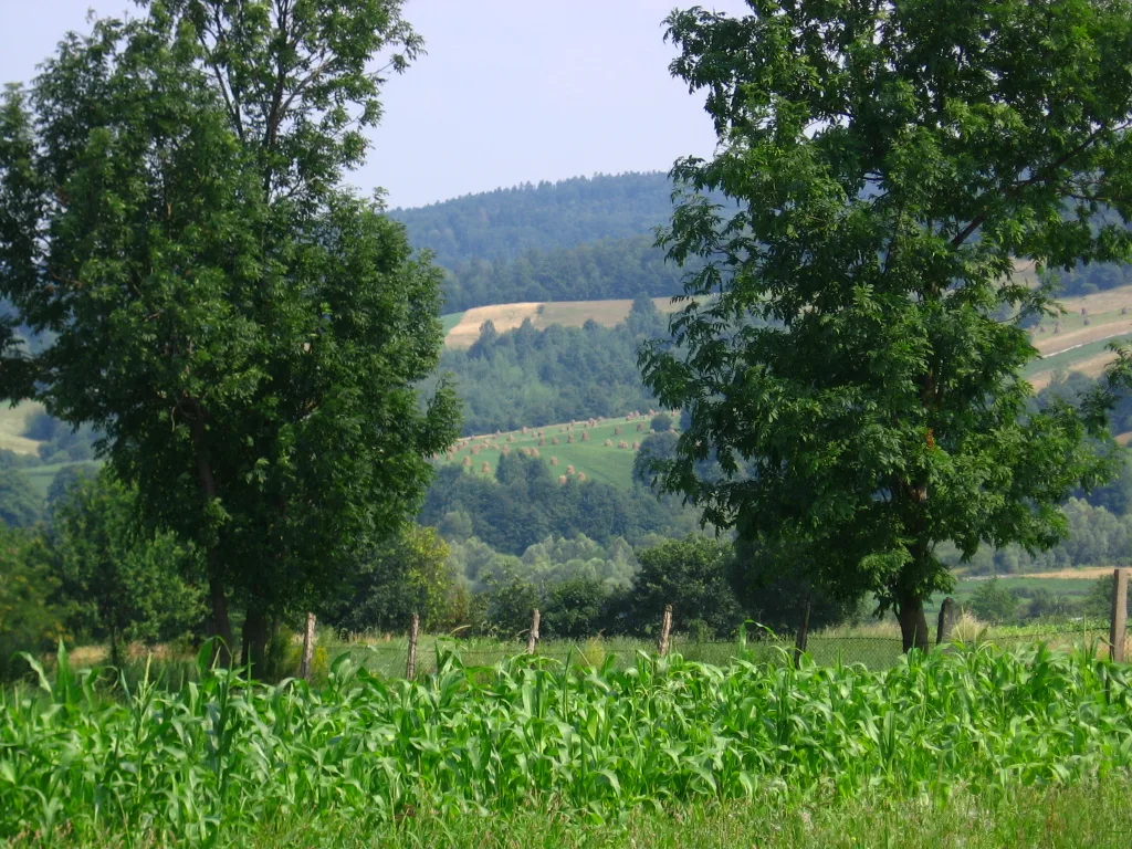 Cacica - Salina și Lăcașul Catolic