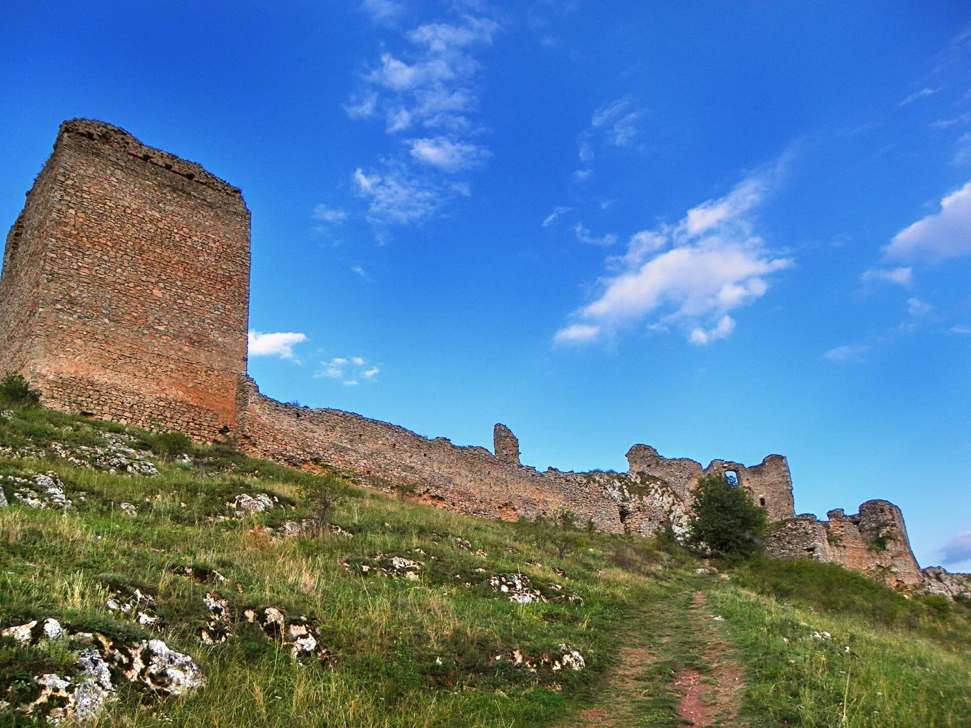 Cetatea Trascăului Colțești