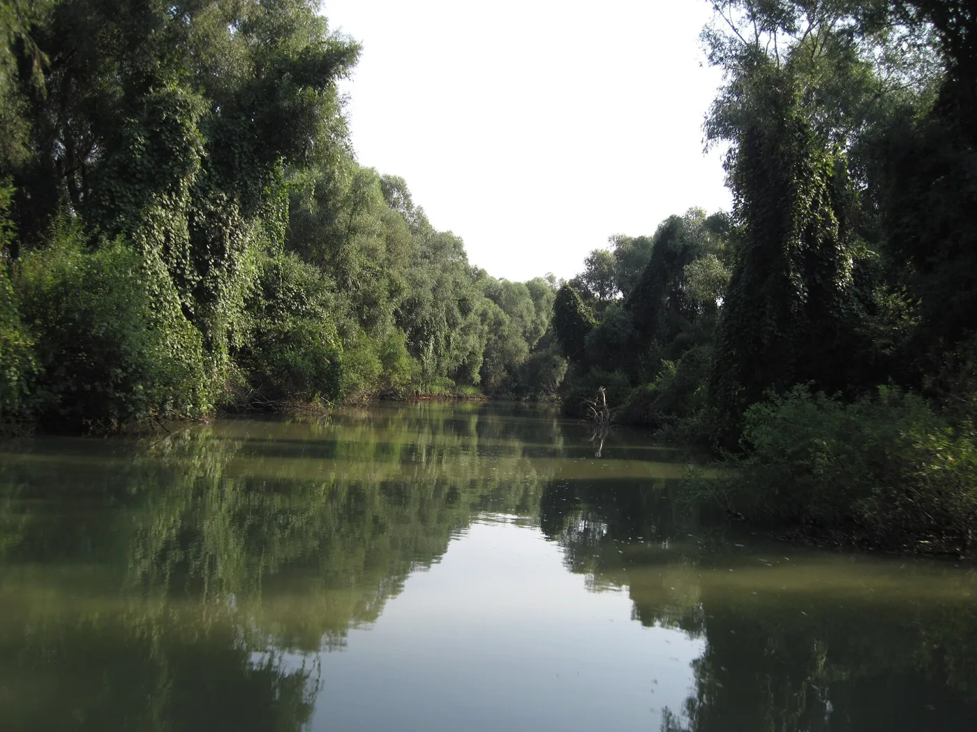 Pipirig - Rezervația Biosferei