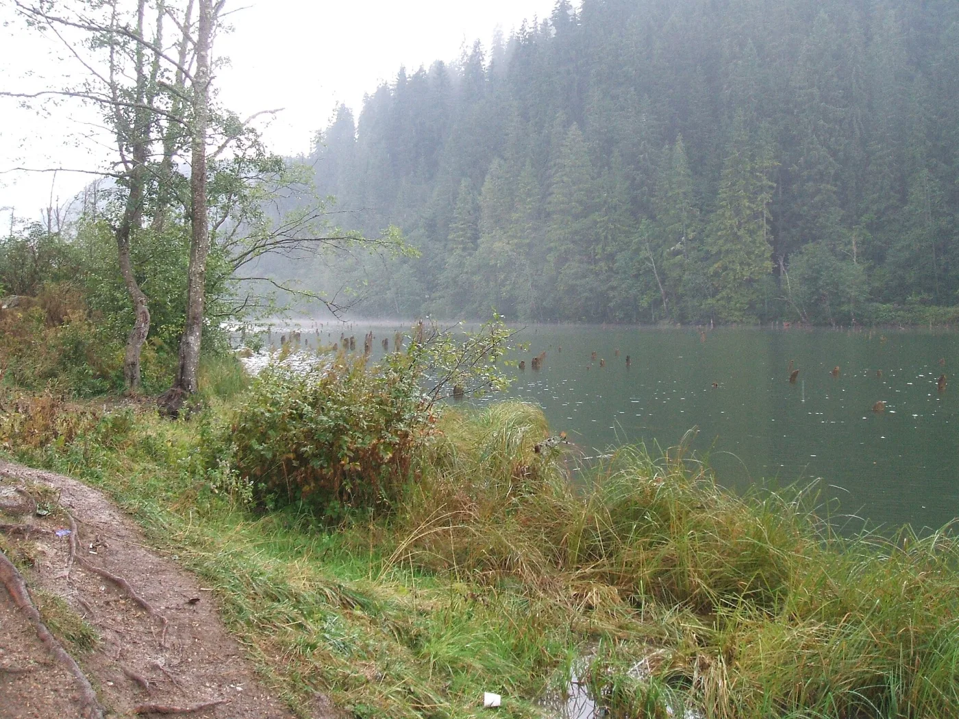 Hemeiuș - Lacul