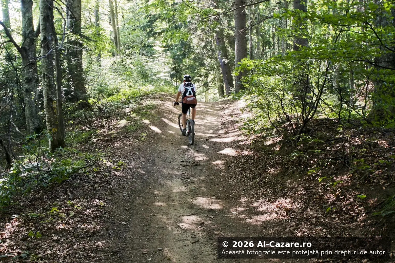 Trasee MTB Azuga foto 3