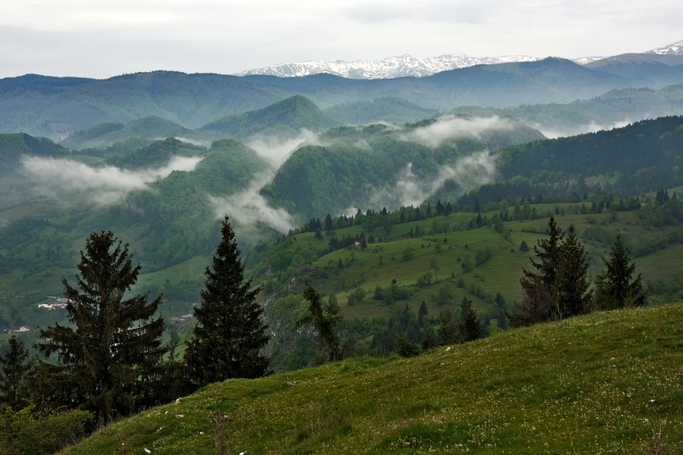 Argeș - Zona Montană Muscel