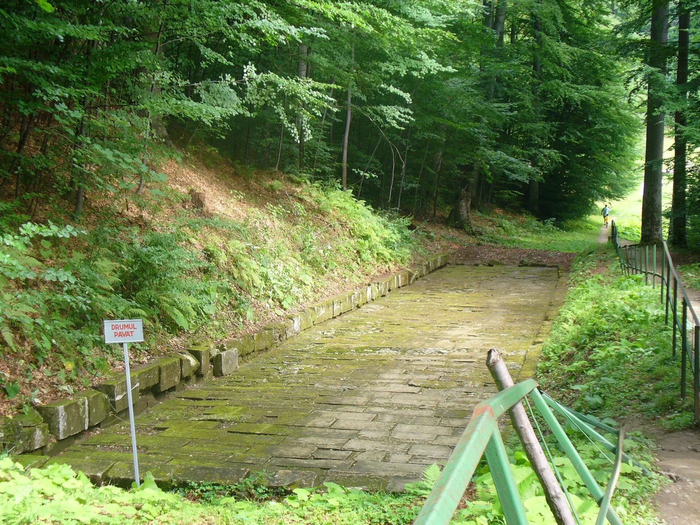 Grădiștea de Munte