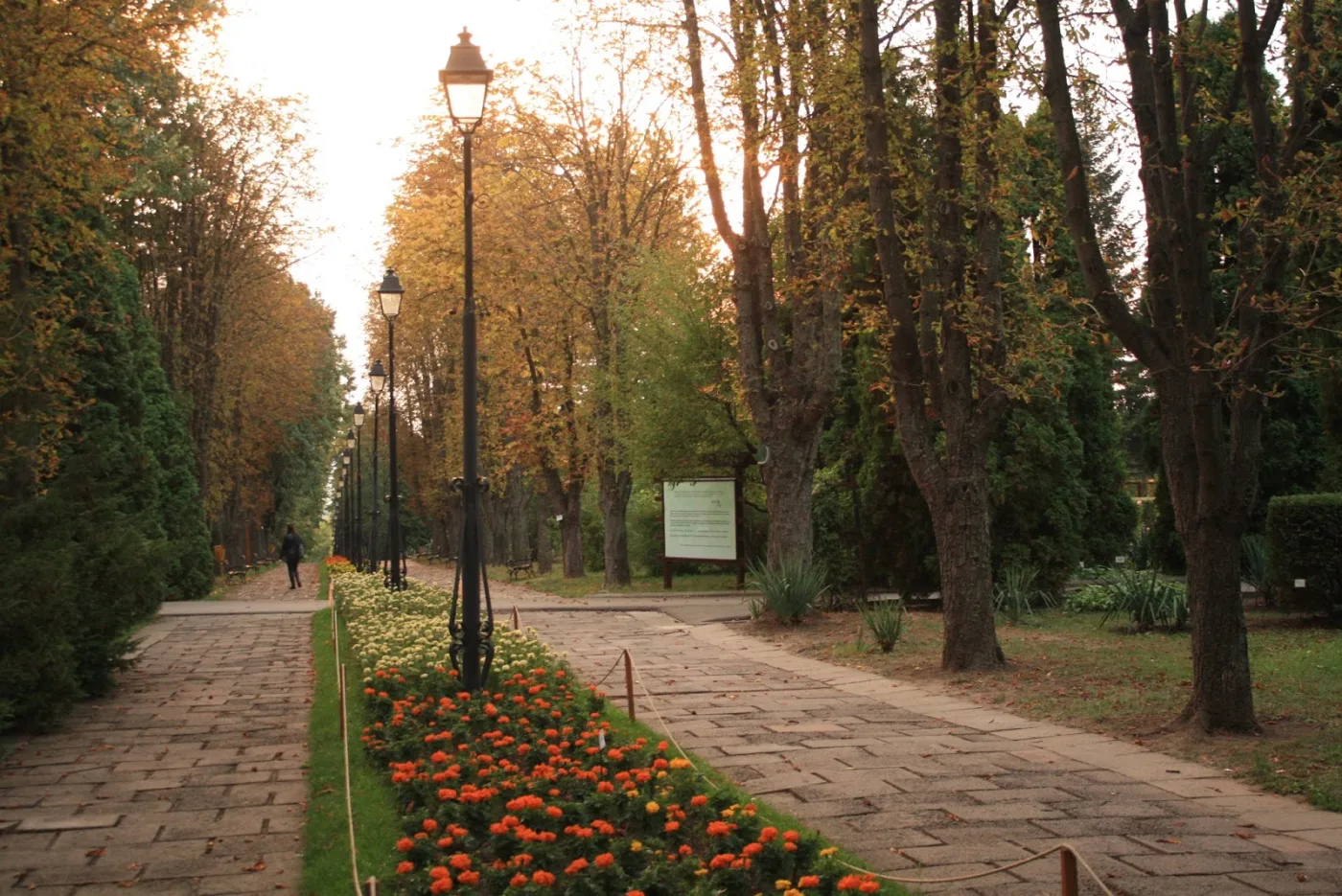 Grădina Botanică Iași
