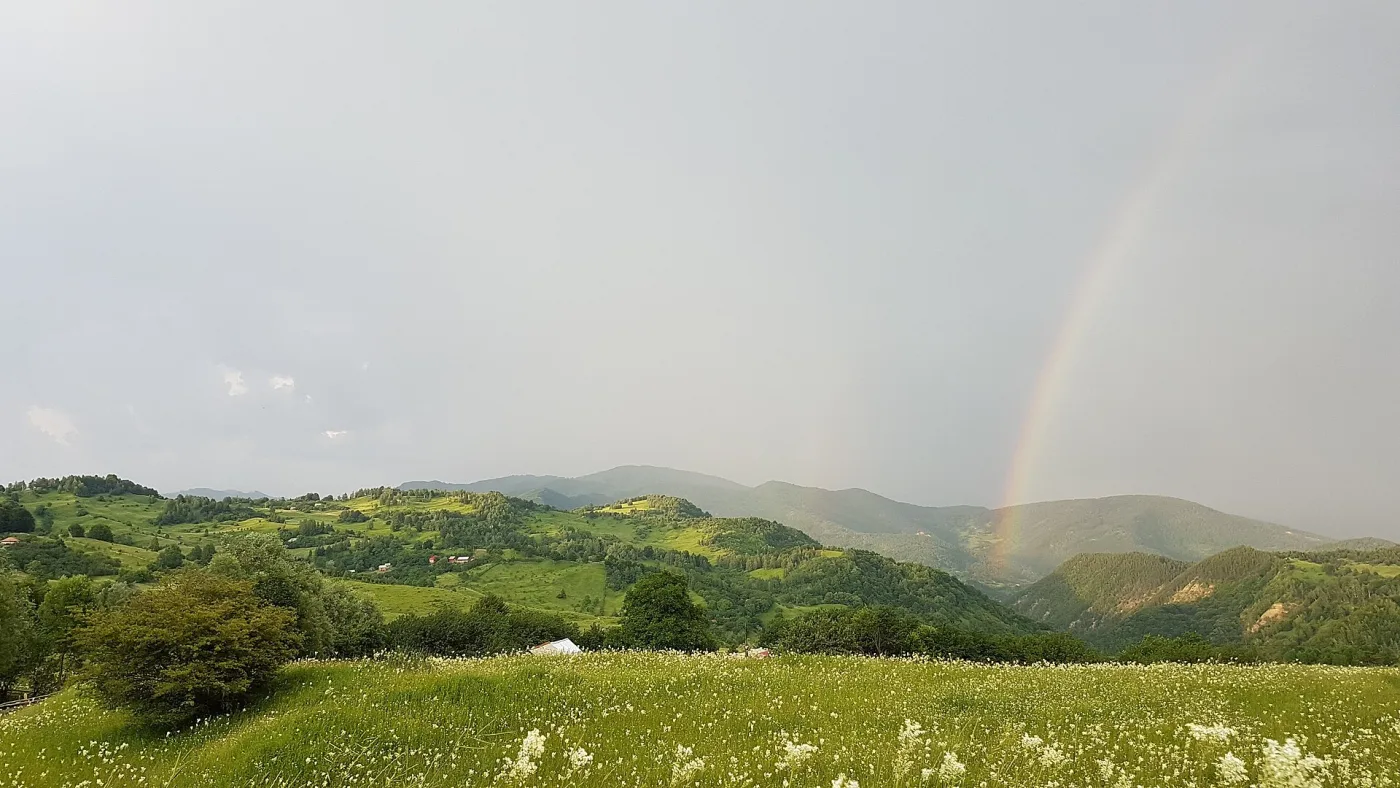 Lopătari - Fierbătorile