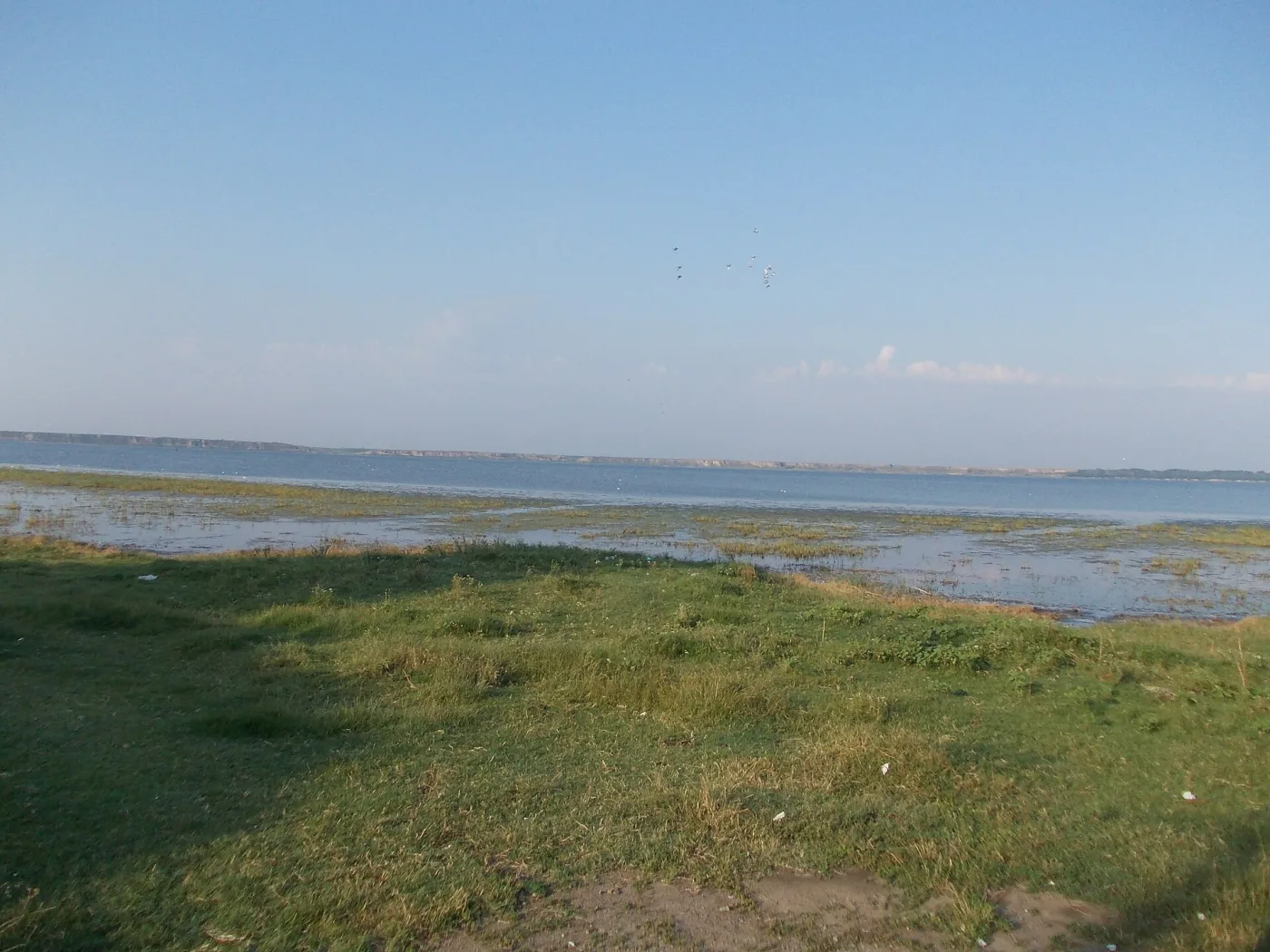 Lacul Sărat Brăila foto 2