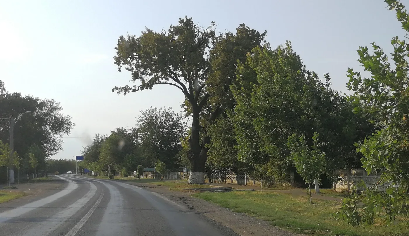Lehliu-Gară - Lacul Lehliu