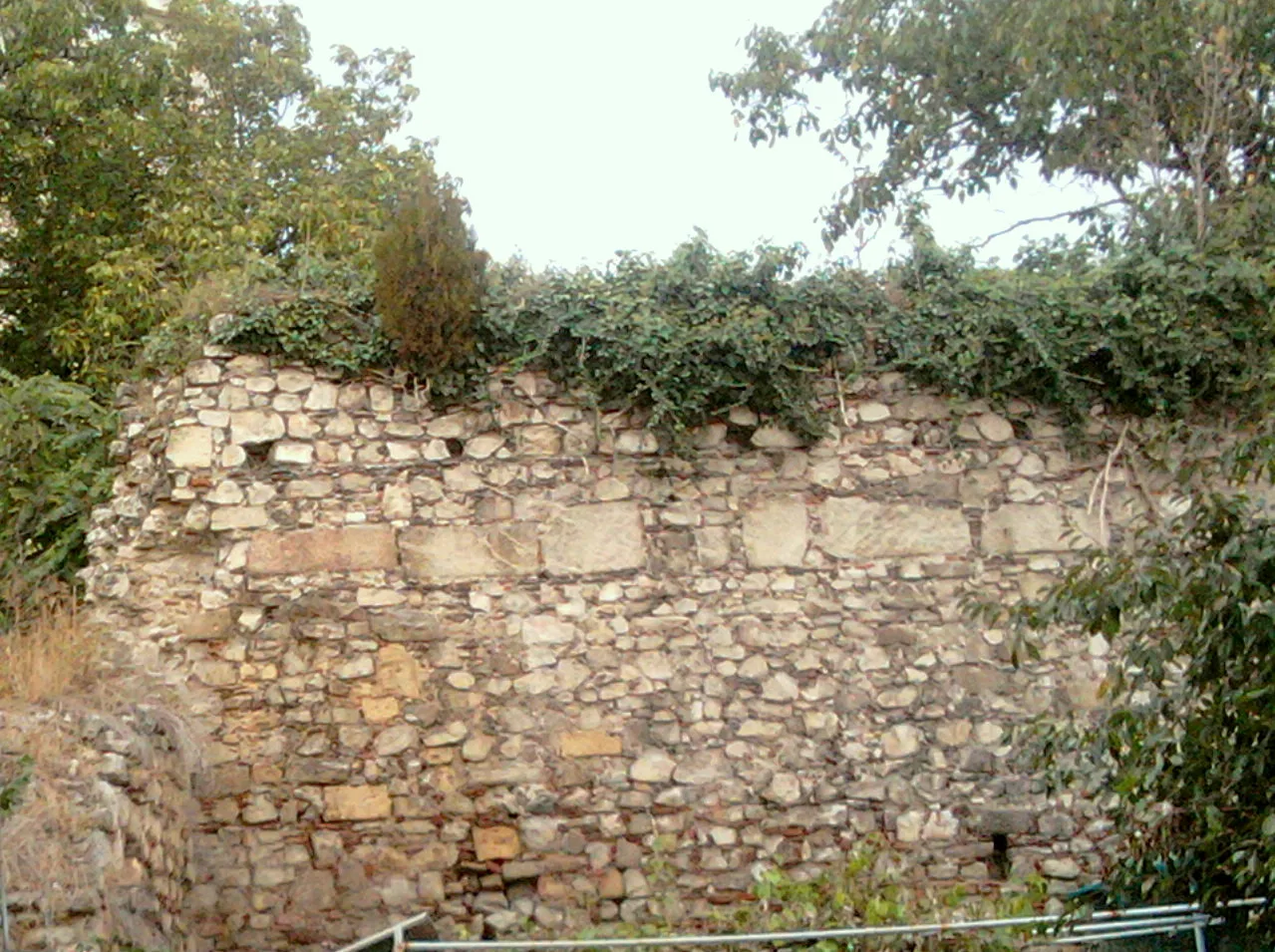 Cetatea Turnu - Ruinele Medievale