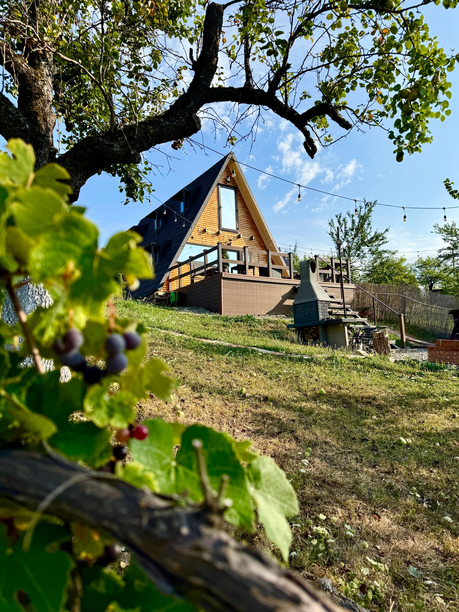 Cabanele Galaxy, Cucuteni, Dambovita — foto 13