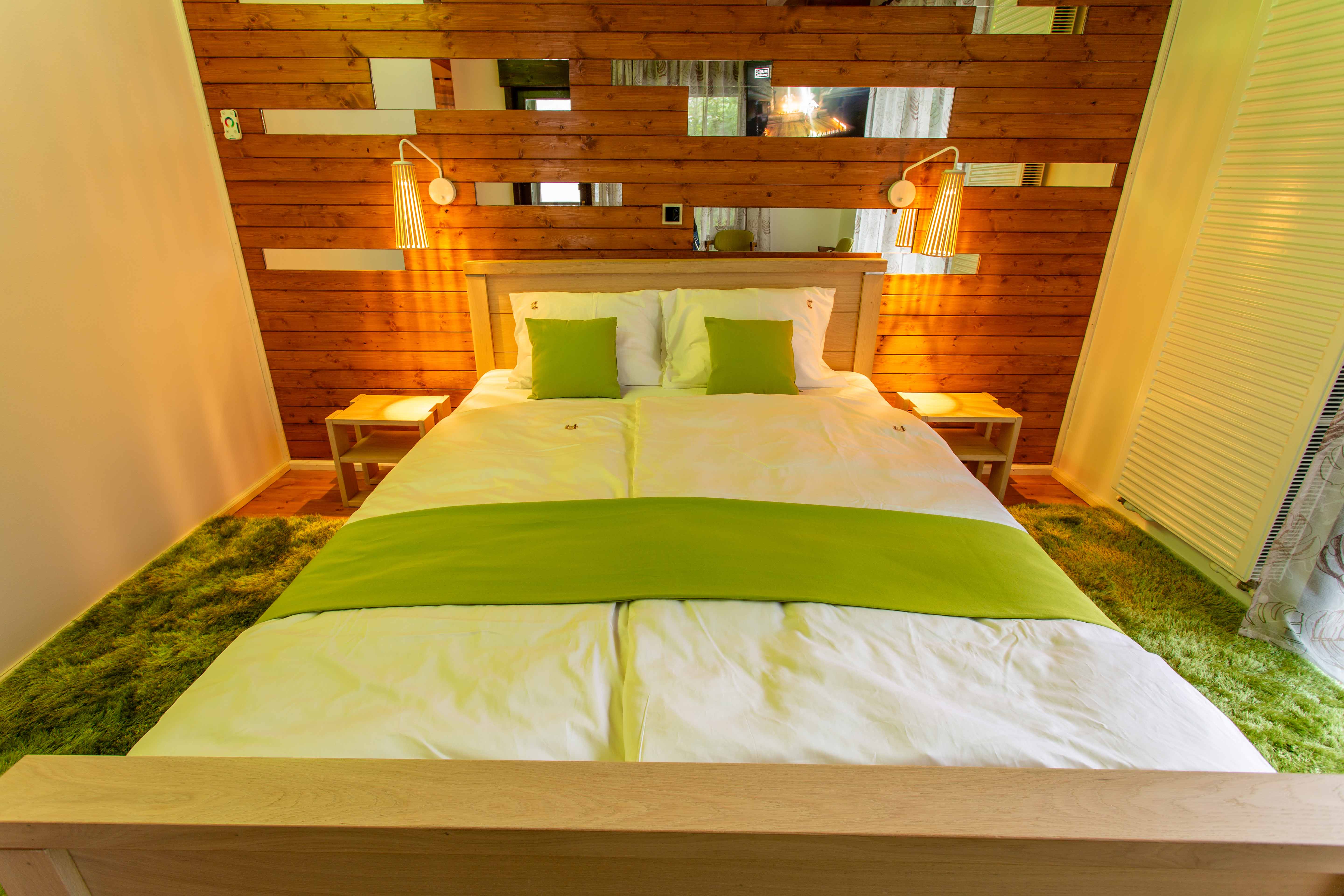 Casa Drago, Sinaia — foto 27