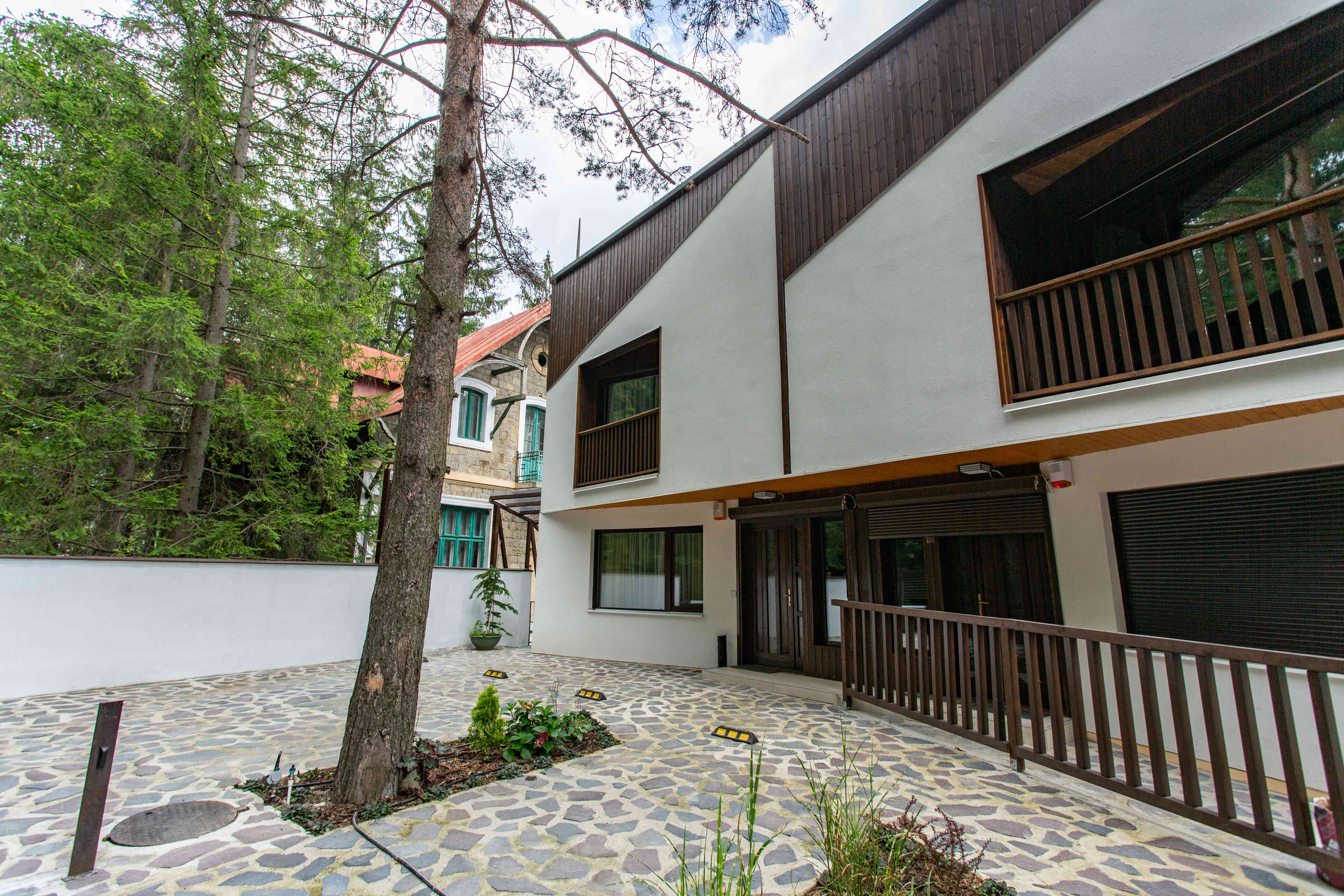 Casa Drago, Sinaia — foto 8