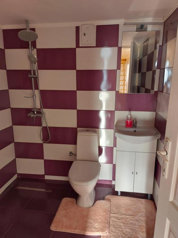 Casa Sufletului Avram Iancu — foto 39