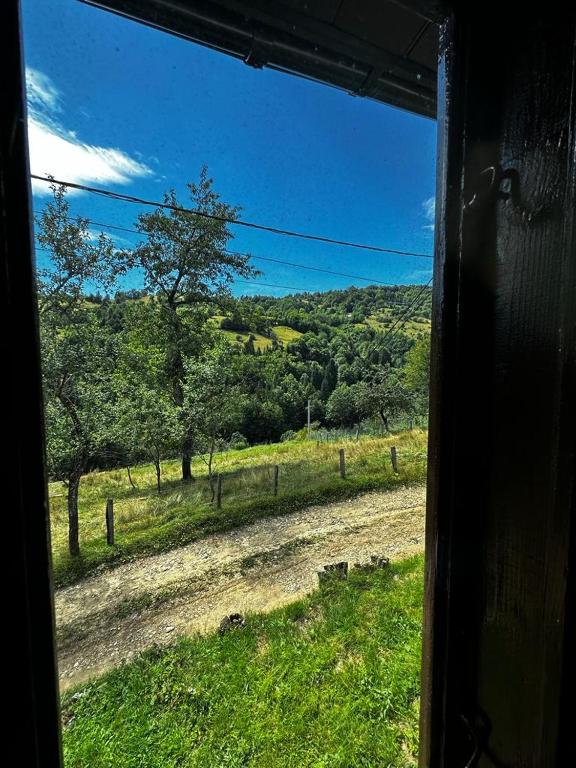 Casa Sufletului Avram Iancu — foto 25