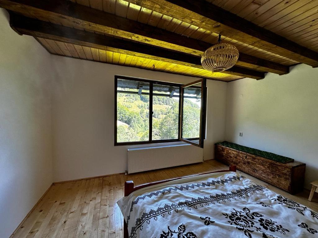 Casa Sufletului Avram Iancu — foto 27
