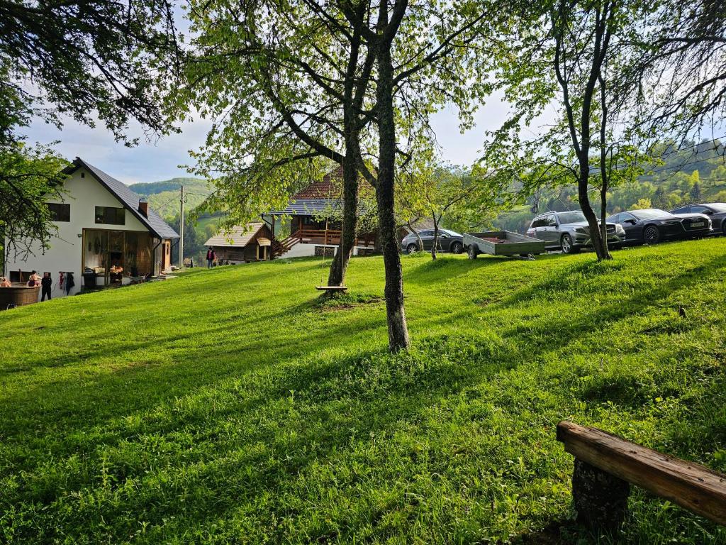 Casa Sufletului Avram Iancu — foto 15