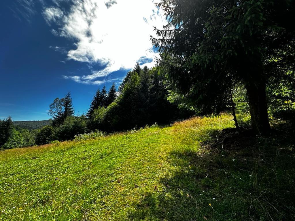 Casa Sufletului Avram Iancu — foto 34