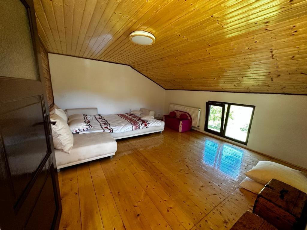 Casa Sufletului Avram Iancu — foto 51