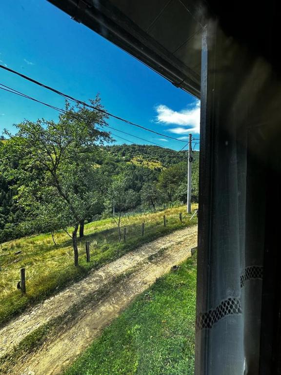 Casa Sufletului Avram Iancu — foto 52
