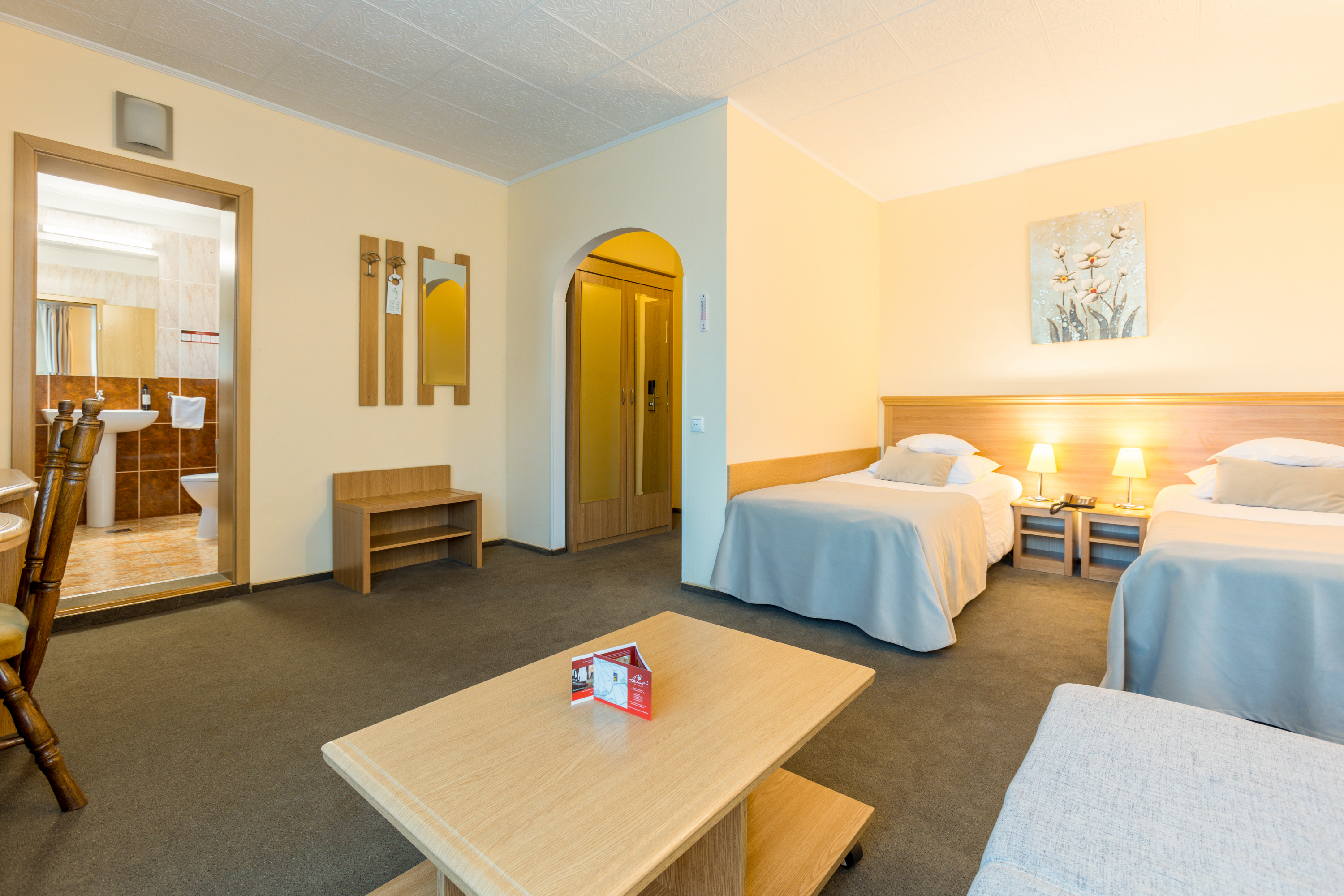 Hotel Ambient Brasov — foto 49