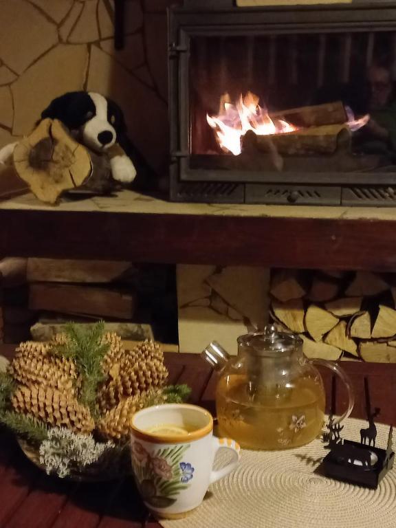 Edelweiss Cozy Lodge cu Semineu, Saună și Terasă — foto 14