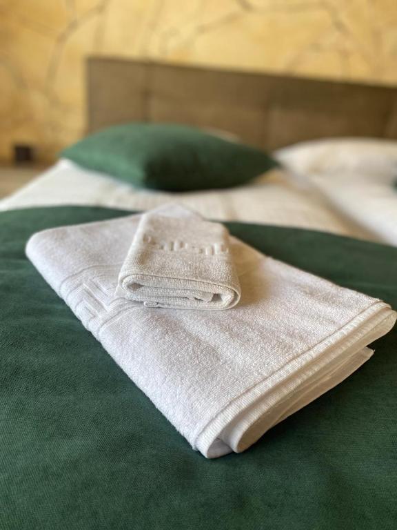 Edelweiss Cozy Lodge cu Semineu, Saună și Terasă — foto 29