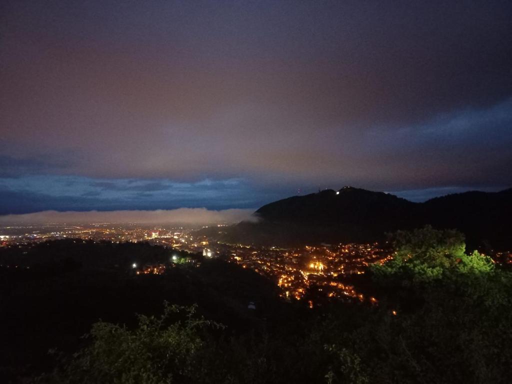 Edelweiss Cozy Lodge cu Semineu, Saună și Terasă — foto 22