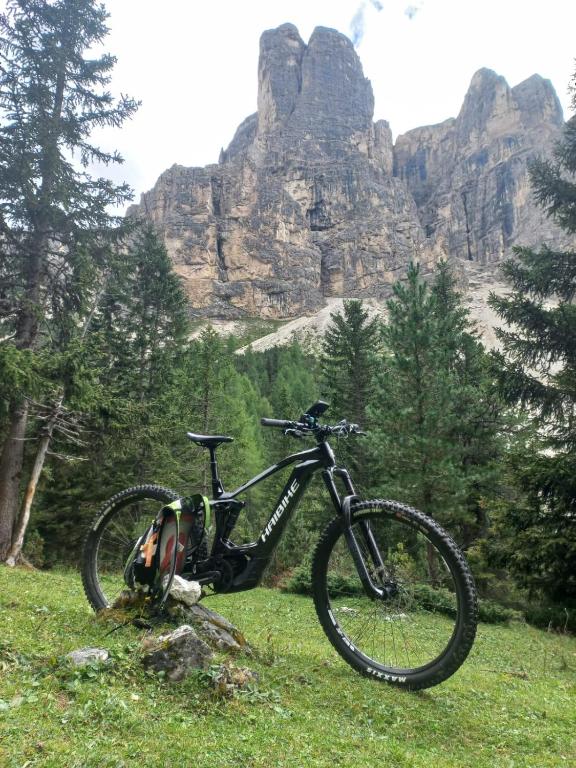 Edelweiss Cozy Lodge cu Semineu, Saună și Terasă — foto 34