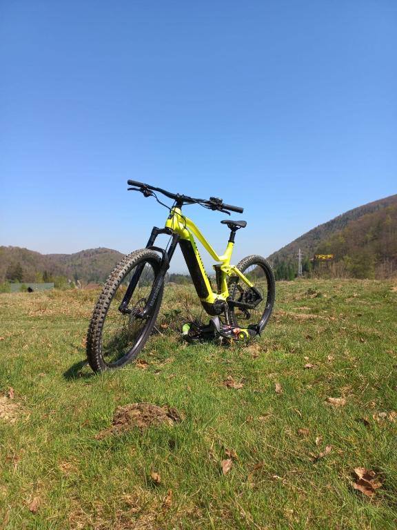 Edelweiss Cozy Lodge cu Semineu, Saună și Terasă — foto 35