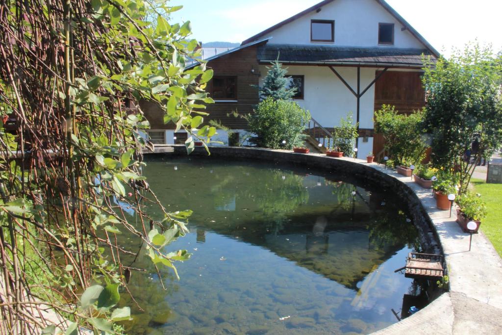 Pensiunea Nagy, Viseu de Sus — foto 13
