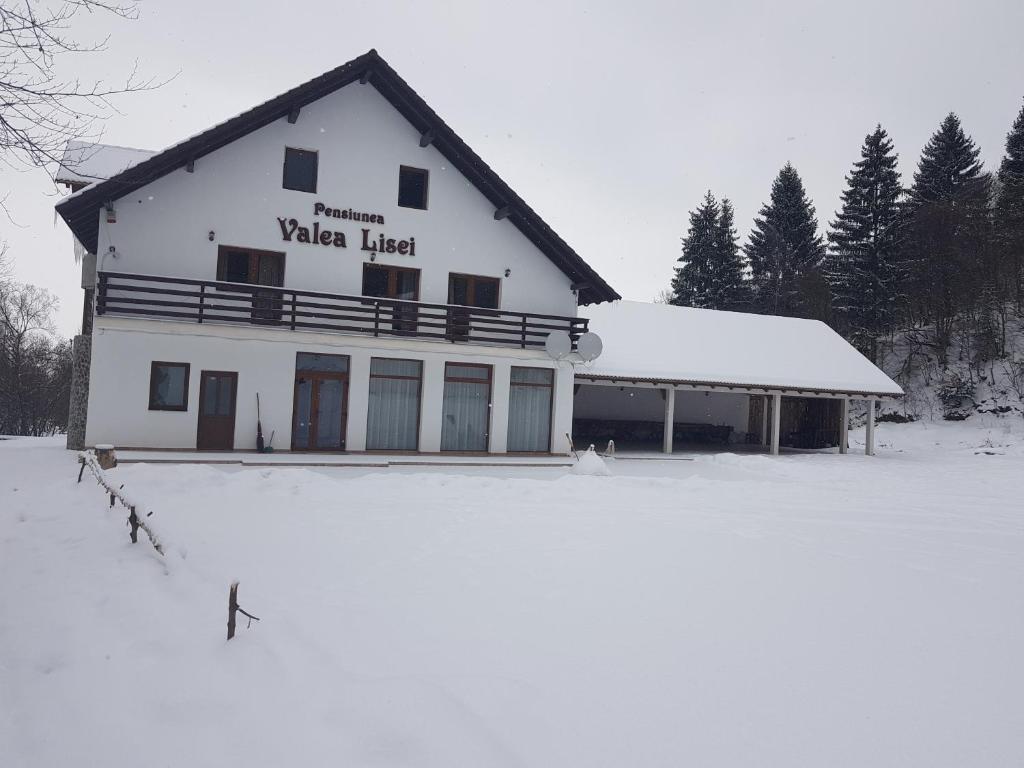 Pensiunea Valea Lisei, Lisa — foto 20