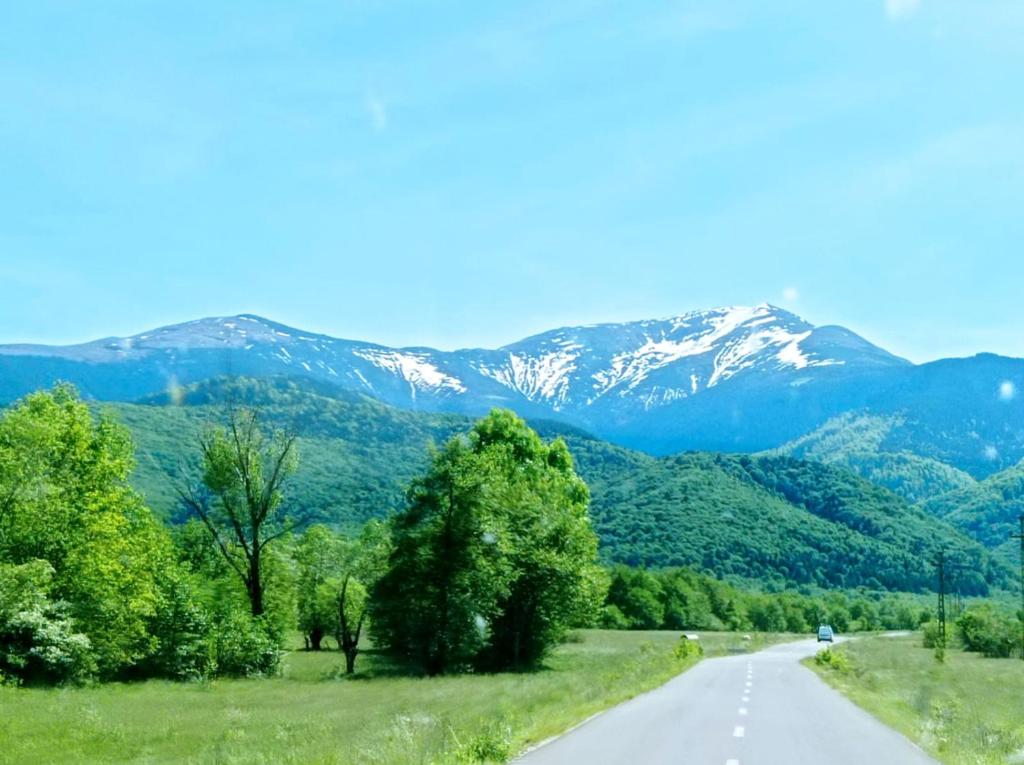 Pensiunea Valea Lisei, Lisa — foto 25