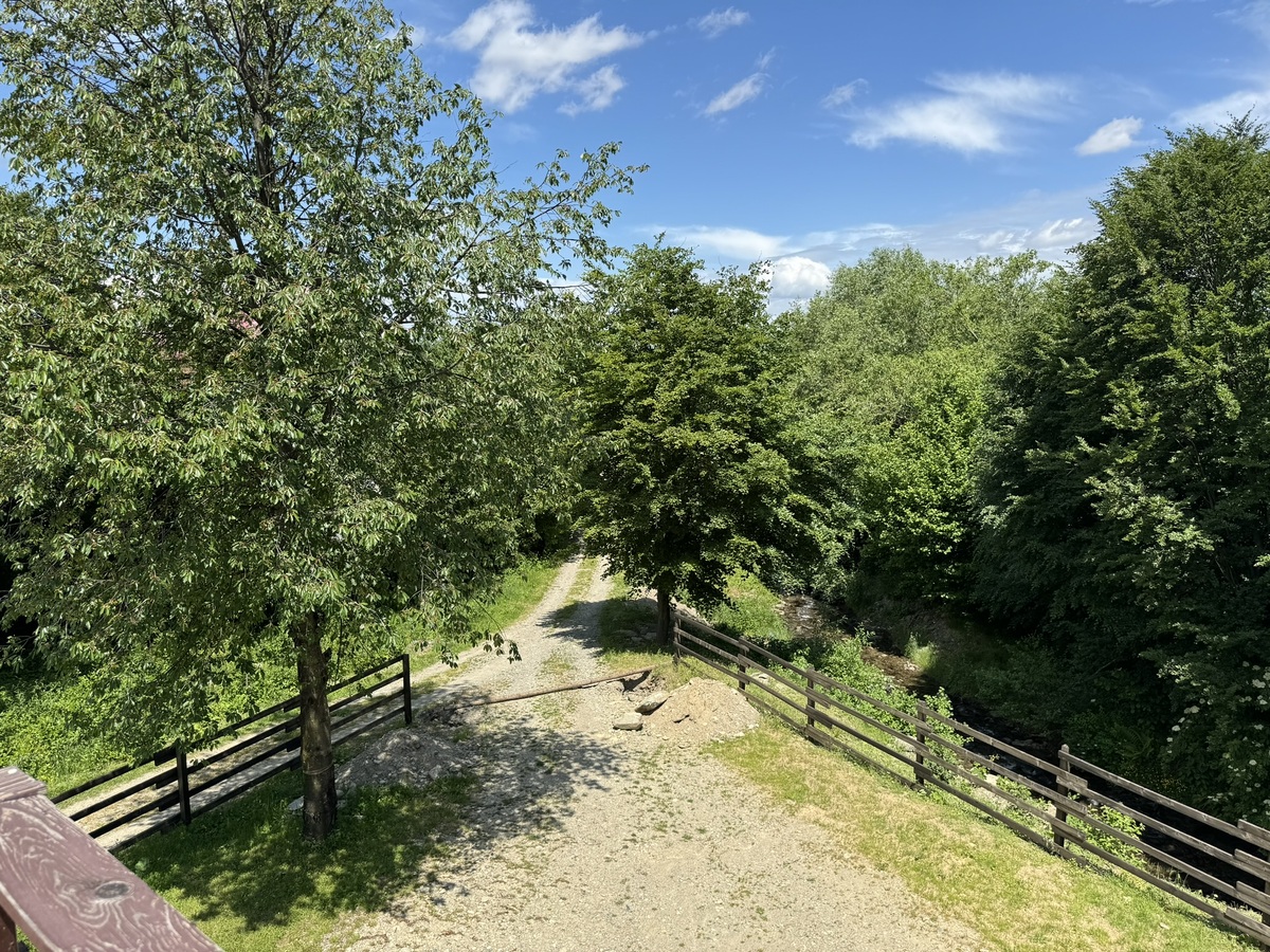 Pensiunea Valea Lisei, Lisa — foto 18