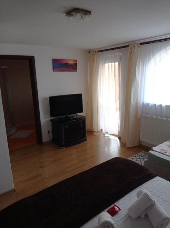Casa Borza, Alba Iulia — foto 4