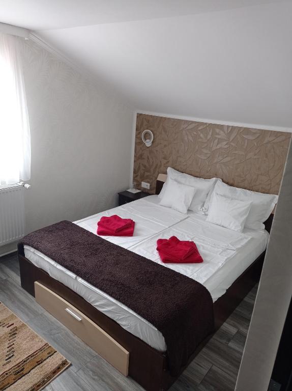 Casa Borza, Alba Iulia — foto 13