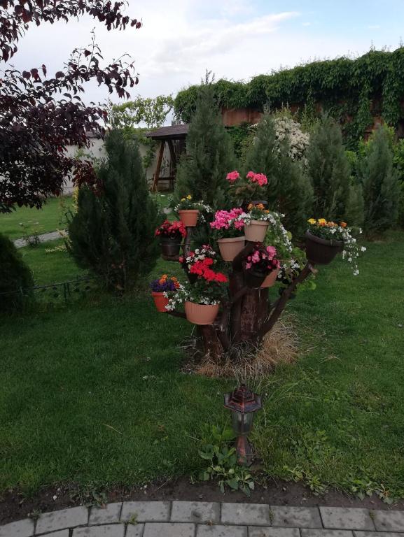 Casa Borza, Alba Iulia — foto 10