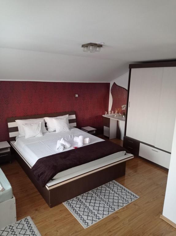 Casa Borza, Alba Iulia — foto 21