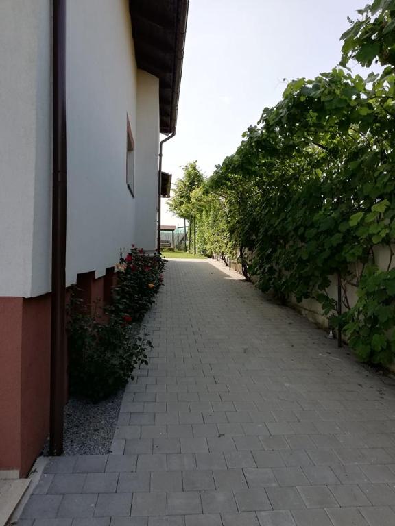 Casa Borza, Alba Iulia — foto 35