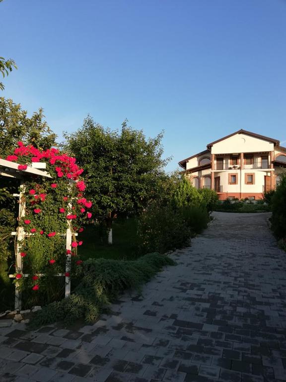 Casa Borza, Alba Iulia — foto 39